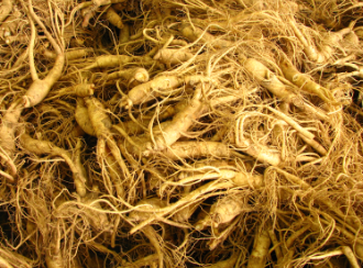 금산 삼계탕축제