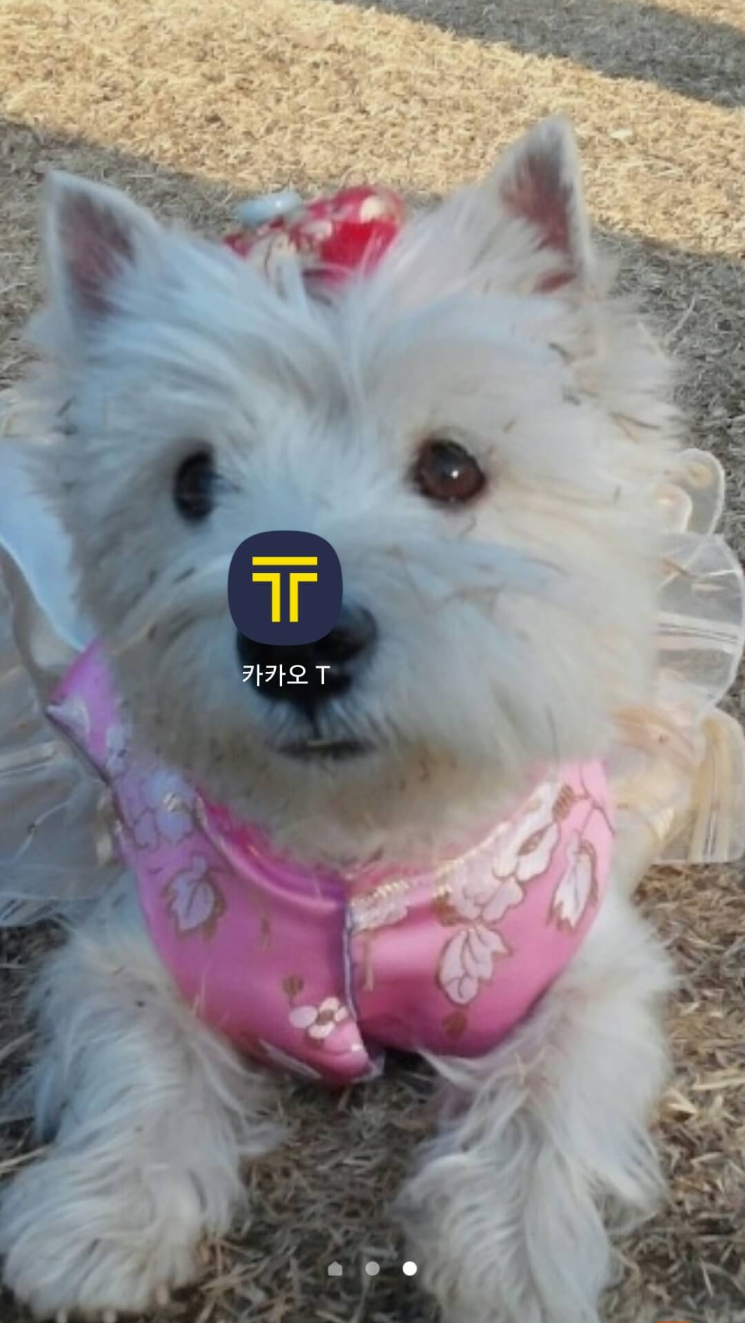 추석 기차 예매