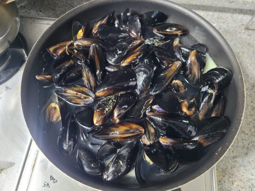 끓는 물에 홍합을 넣는 모습