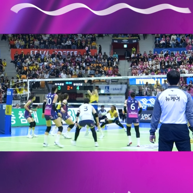 흥국생명 배구단