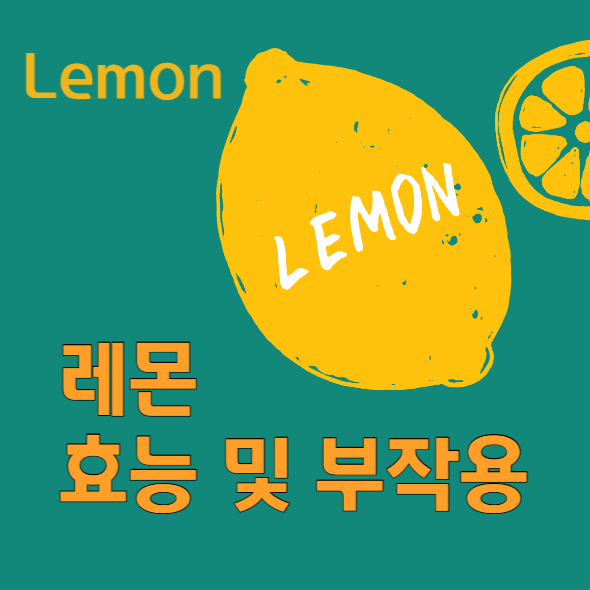 레몬 효능 부작용