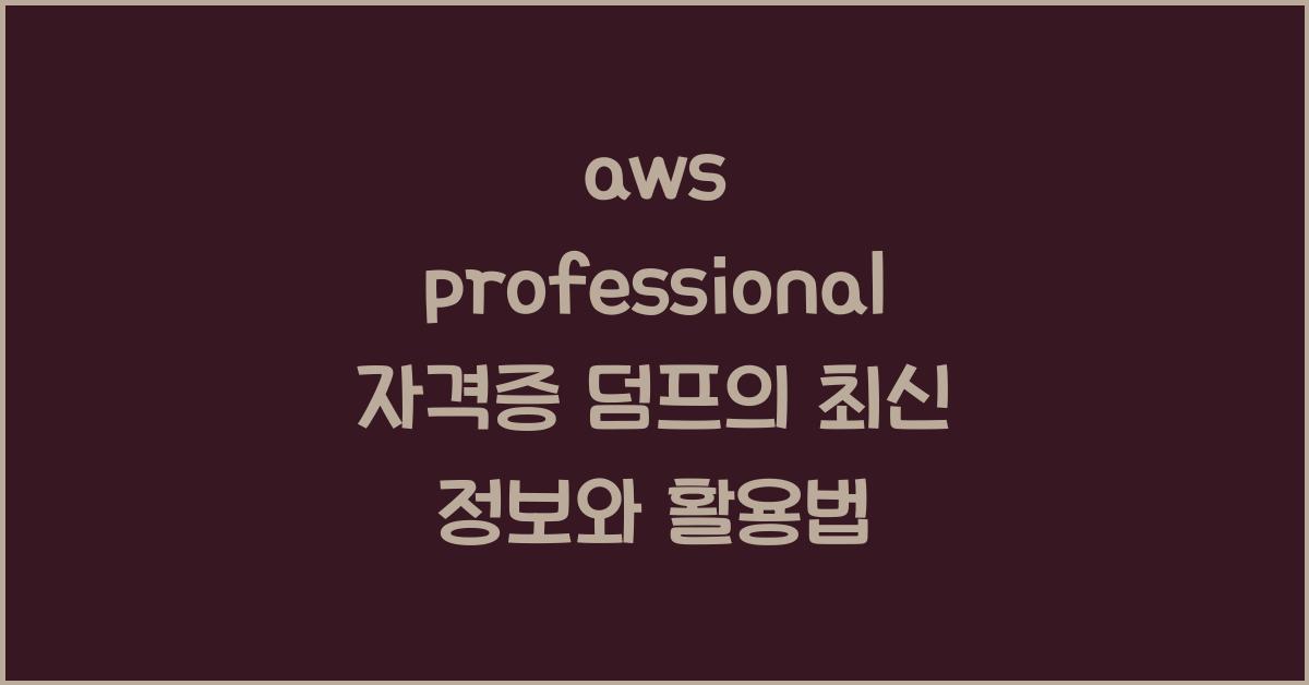 aws professional 자격증 덤프