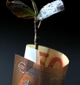 자녀장려금 지급시기