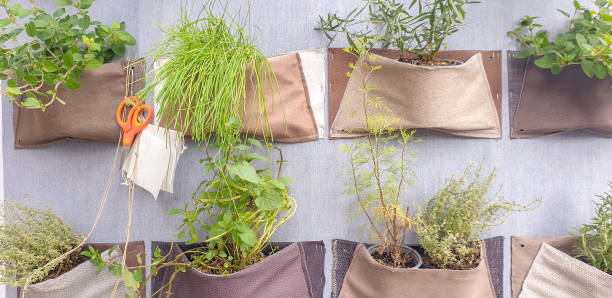 ๐ฑ ํ๋ถ ์ข
๋ฅ๋ณ ๋น๊ต & ์ถ์ฒ