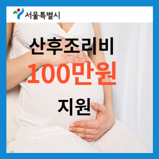 산후조리비 100만원 지원