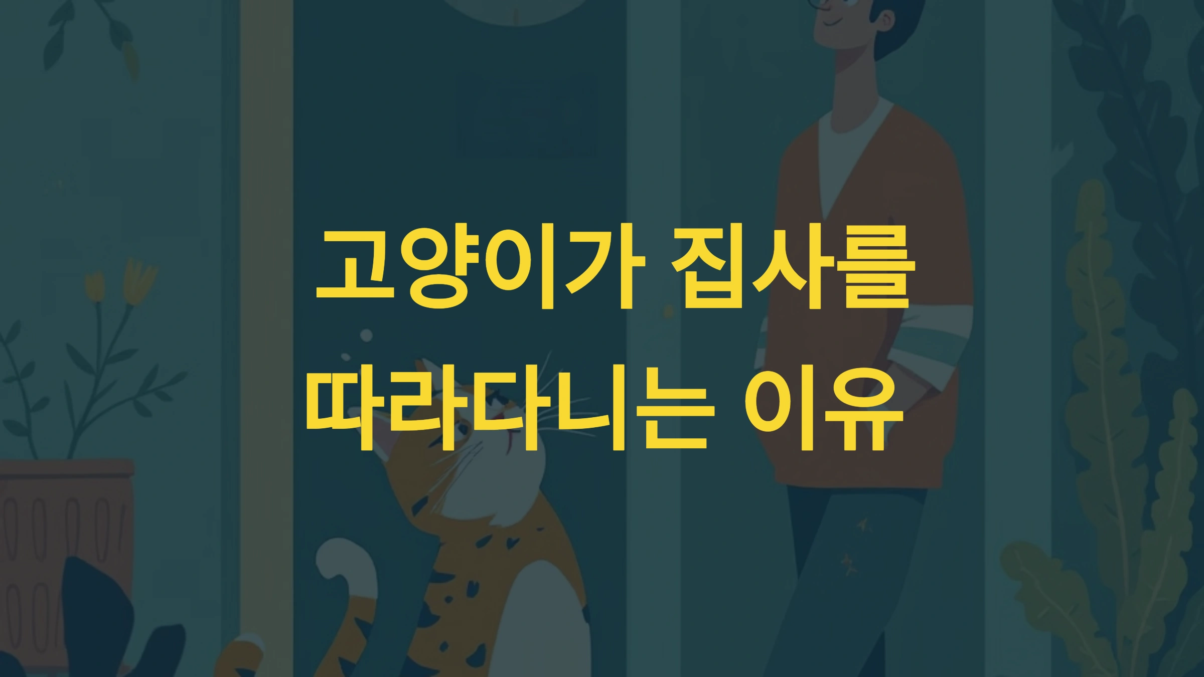 🐱 고양이가 집사를 따라다니는 이유