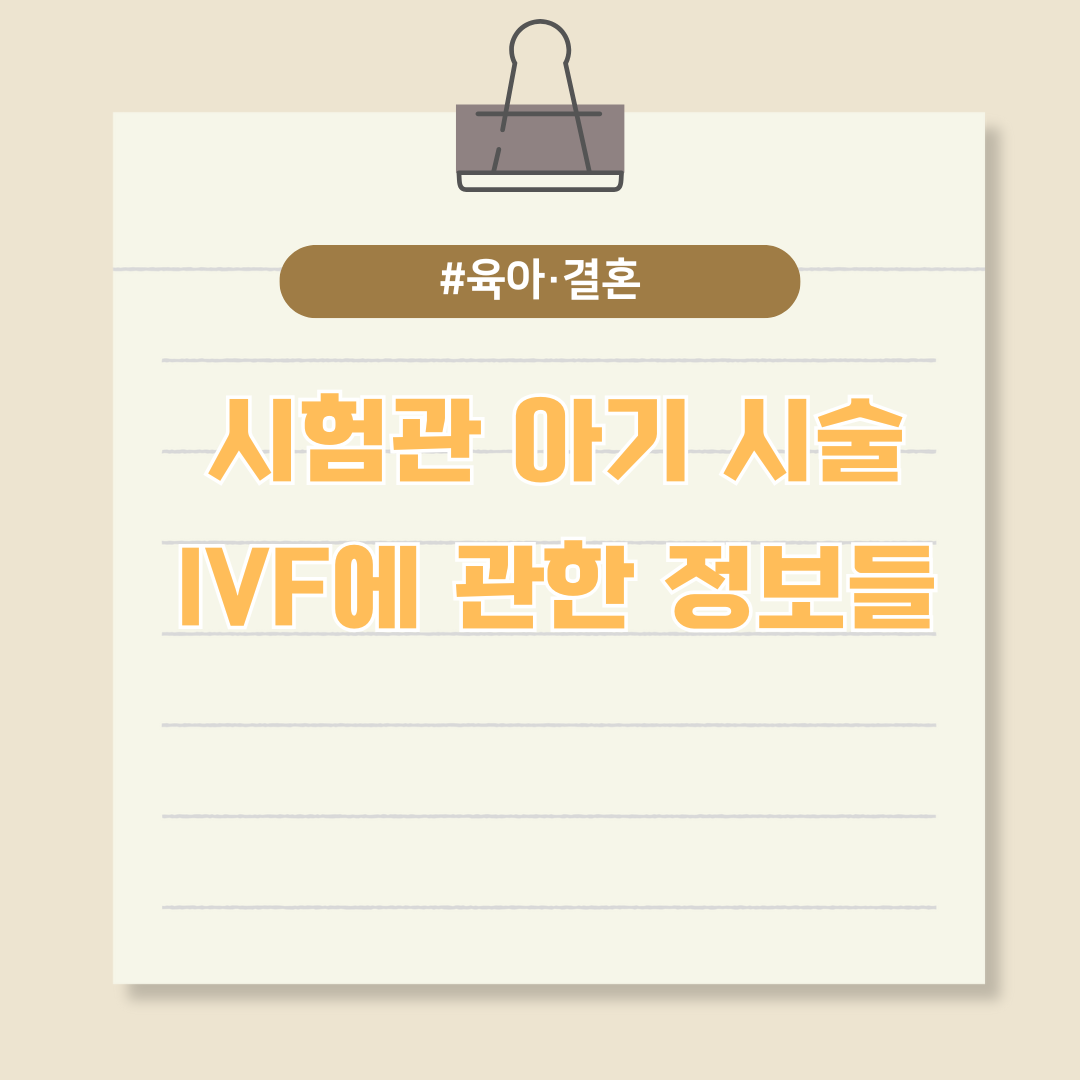 시험관 아기 시술(IVF)에 관한 정보들