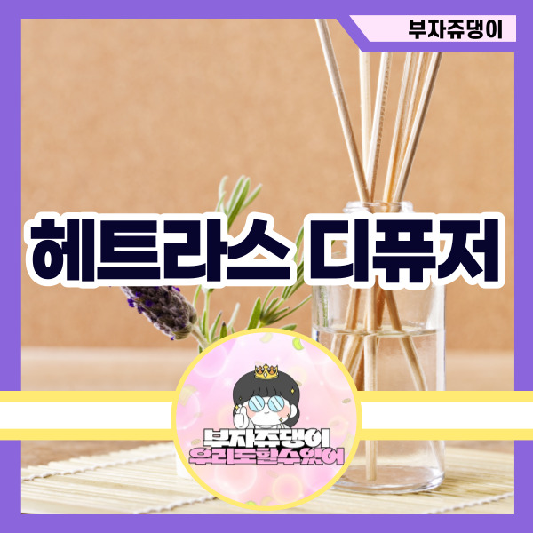 헤트라스 디퓨저 사용법 및 효능