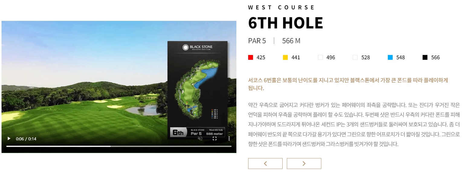 블랙스톤 골프클럽 서코스 6