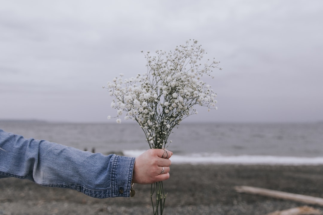 Baby's breath