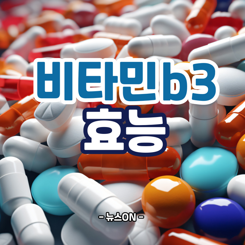 비타민b3 효능