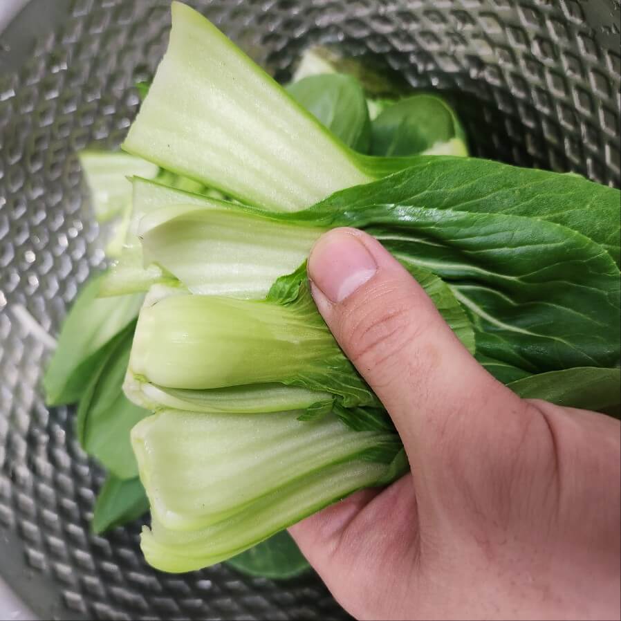 청경채 굴소스볶음 청경채무침 청경채볶음 청경채 효능 소고기청경채볶음 청경채 겉절이 청경채 소고기볶음 청경채 이유식 청경채미음 청경채나물 청경채 생으로 청경채 키우기 청경채 영어로 청경채 칼로리 청경채쥬스 청경채 씨앗 청경채 재배 청경채 주스 청경채 영어 청경채파종 청경채요리 청경채 볶음 청경채 큐브 청경채 요리 청경채 굴소스 볶음 청경채의 효능 청경채 무침 청경채 된장국 청경채 바나나 주스 청경채 전복찜