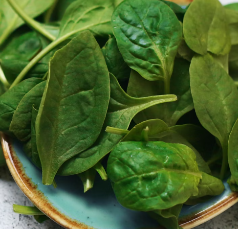 시금치 효능 부작용 고르는법 칼로리