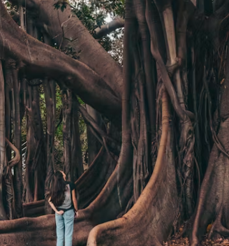근저당 설정이란