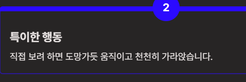 눈에 날파리 현상(비문증) 알아보기