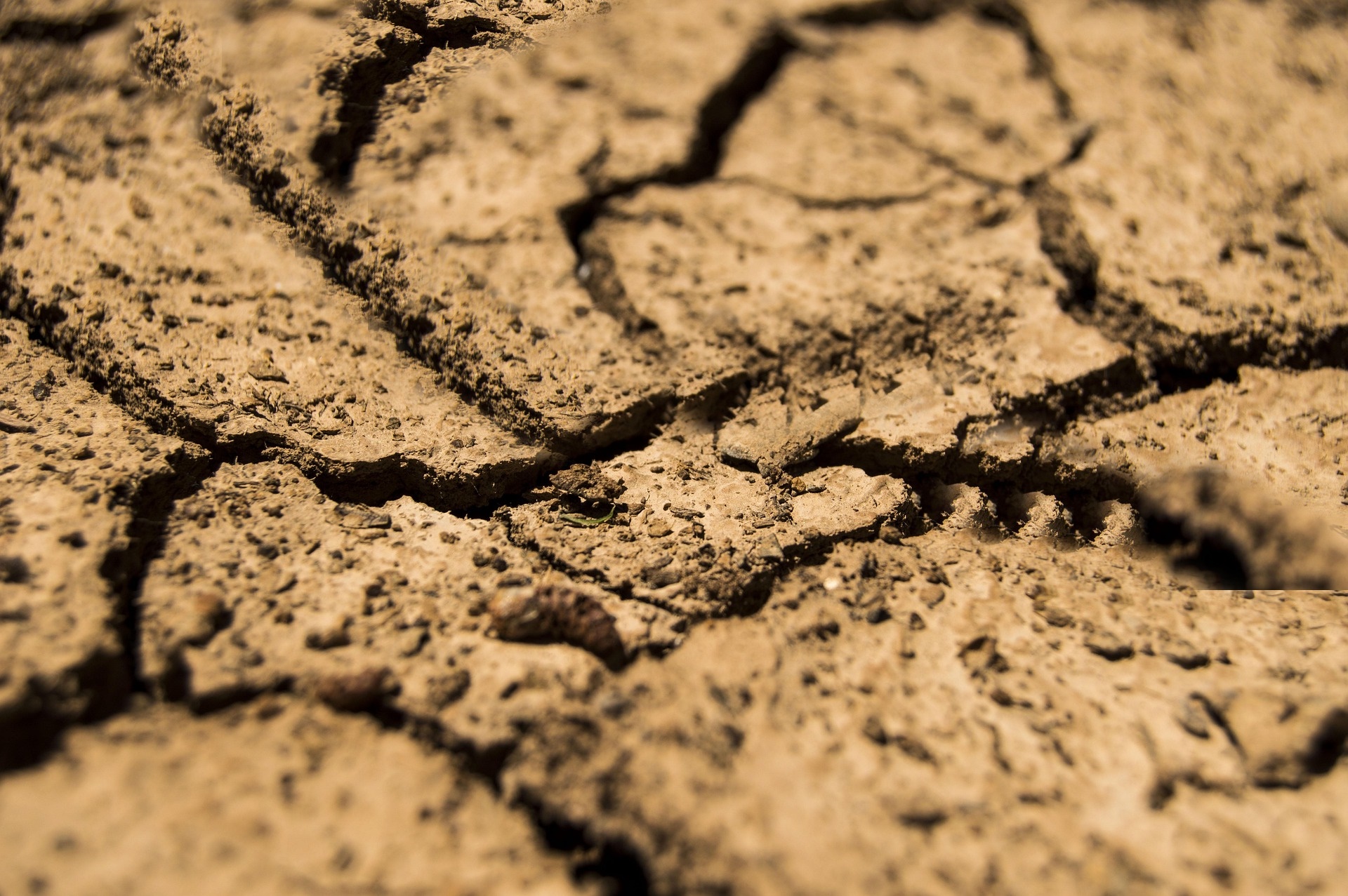기후 위기는 왜 &lsquo;정권 교체&rsquo;의 핵심 변수로 떠올랐는가!