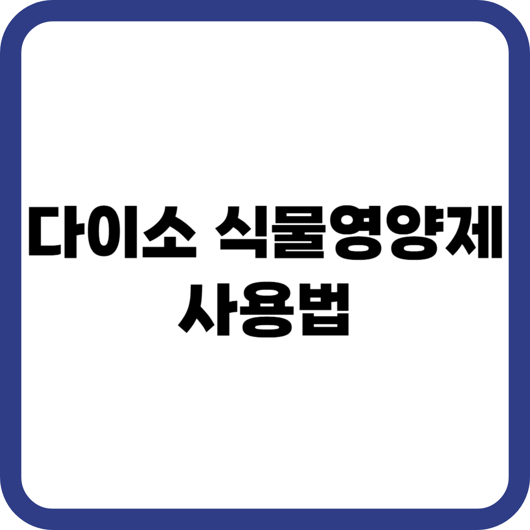 다이소 식물 영양제 사용법 추천