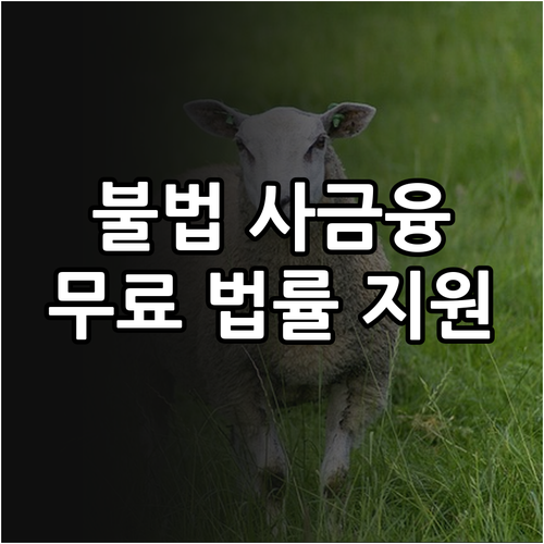 불법사금융 피해자를 위한 2025 무..