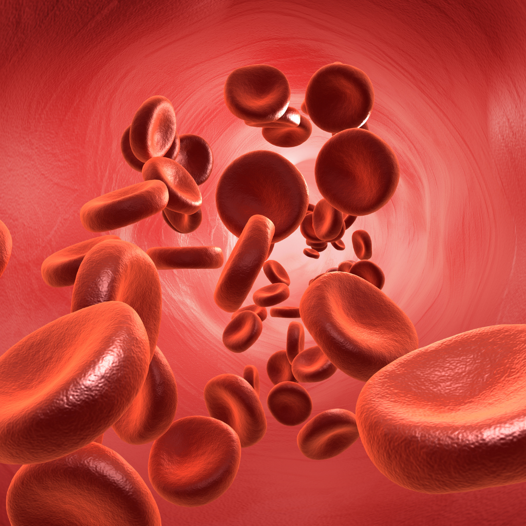 위험한 혈압 수치 위험도 해석표 나의 혈압 정말 괜찮을까요