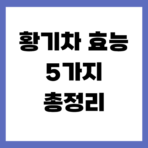 황기차 효능 5가지