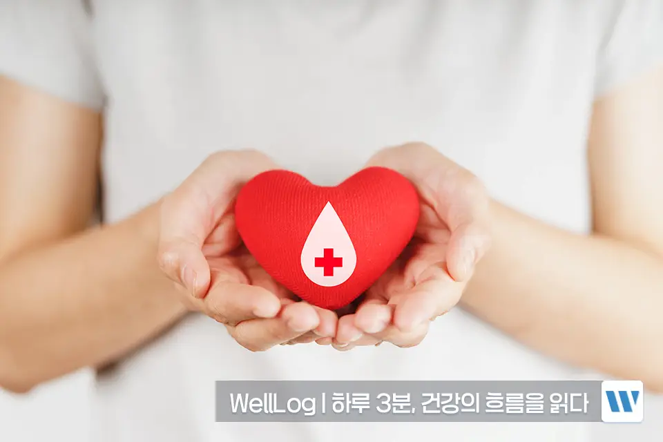 햄프씨드 효능 단백질 오메가3 항산화