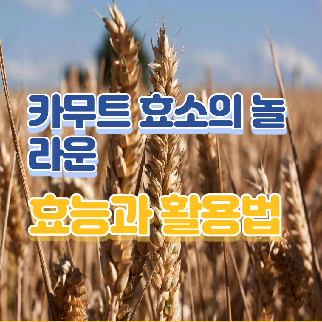 카무트 효소의 놀라운 효능과 활용법