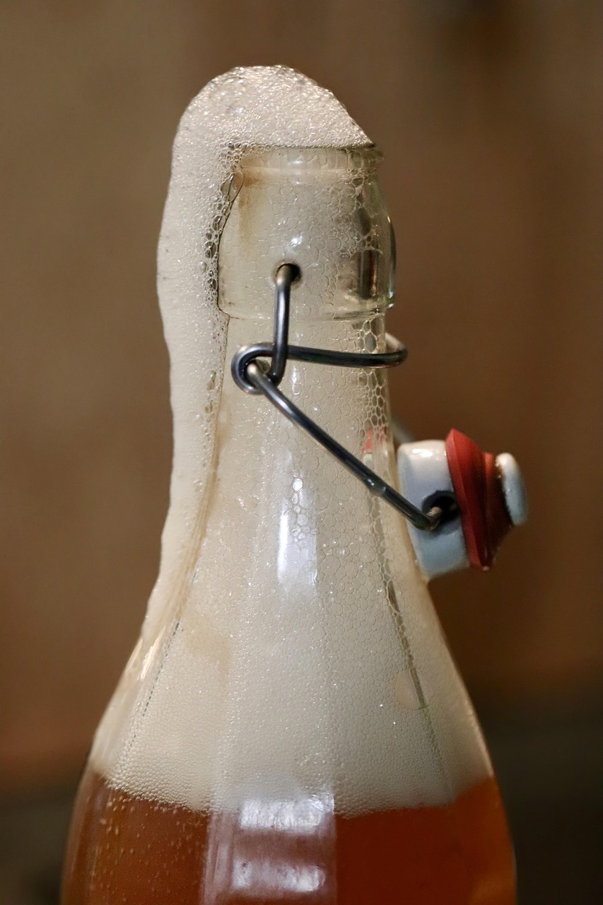 곤충을 활용한 맥주와 와인, 곤충 발효 음료가 가능할까?