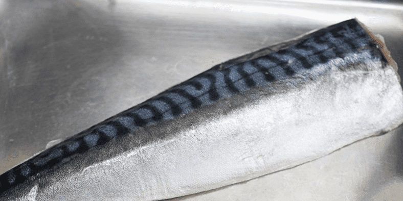 요리하게 좋게 손질되어 있는 고등어