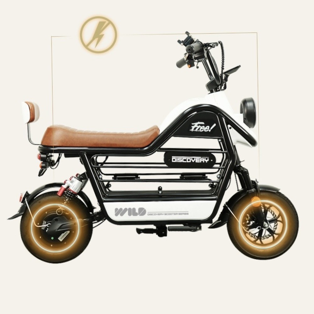 레이윙 디스커버리 와일드 강아지 스쿠터 추천