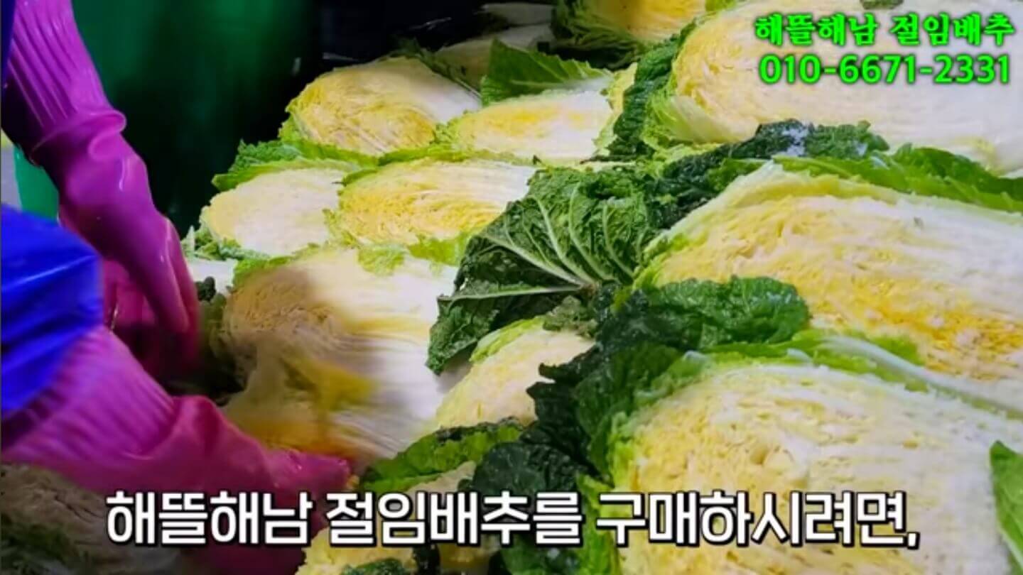 절임배추