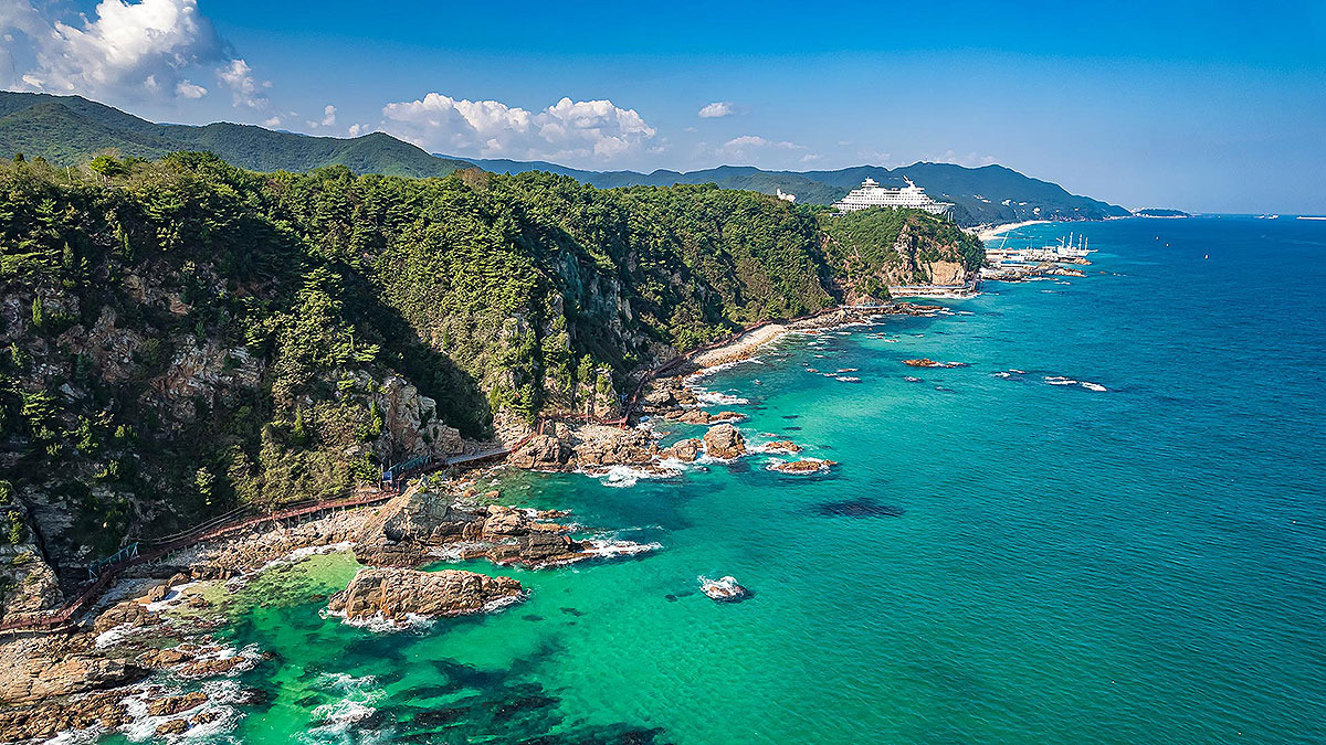 강릉역 기차시간표