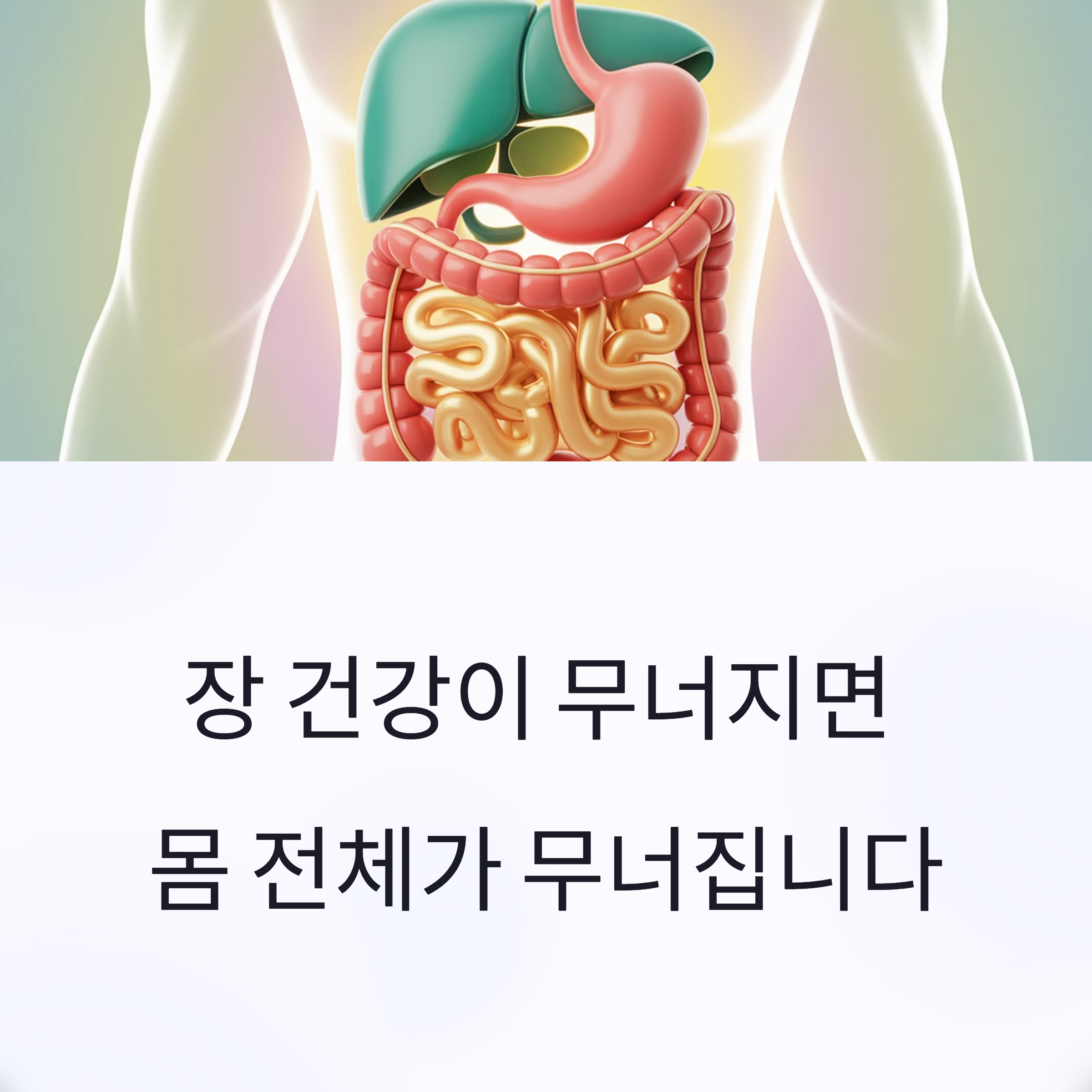 내 몸을 살리는 1일 루틴