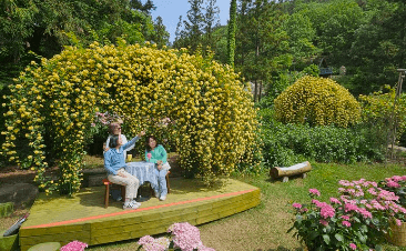 해남 포레스트(4est) 수목원 수국축제 입장료&amp;#44; 주차장&amp;#44; 맛집 