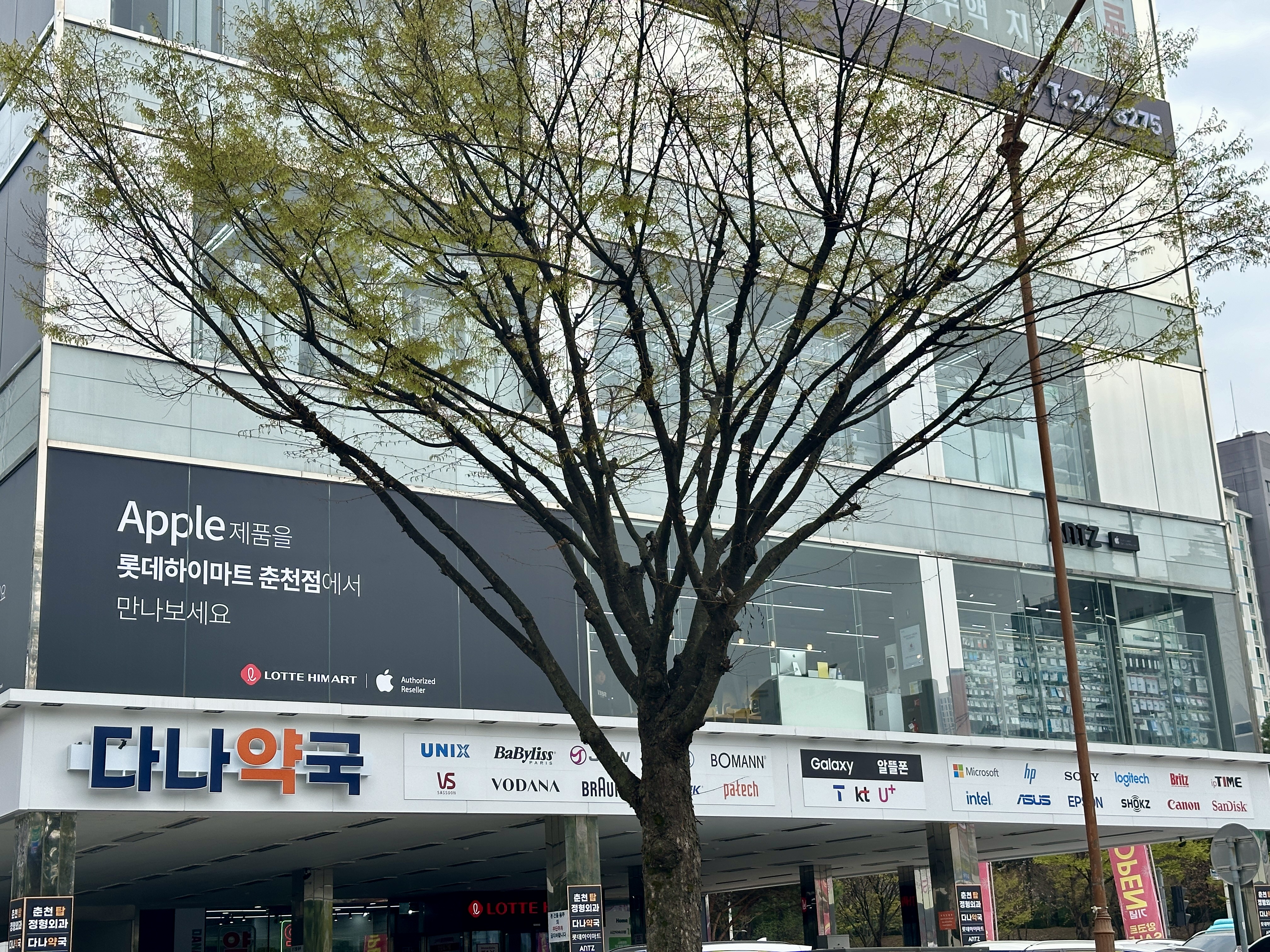 춘천 롯데마트 2층 앙츠 매장