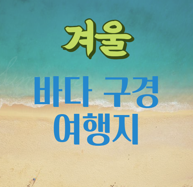 겨울 바다 여행지&#44; 바다 구경 하기 좋은 곳