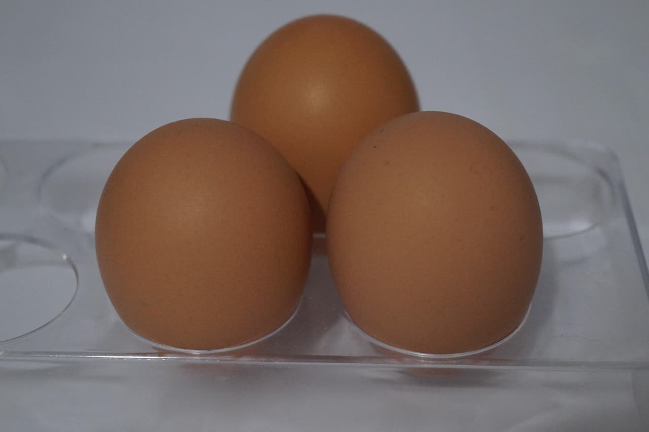 "계란을 많이 먹으면 콜레스테롤이 올라갈까?" 진실 or 오해!