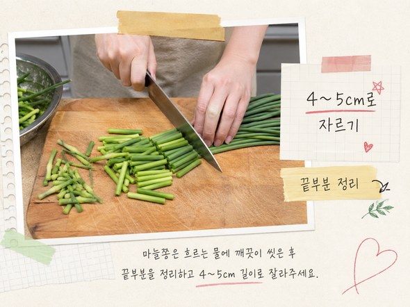 마늘쫑볶음볶음 황금레시피