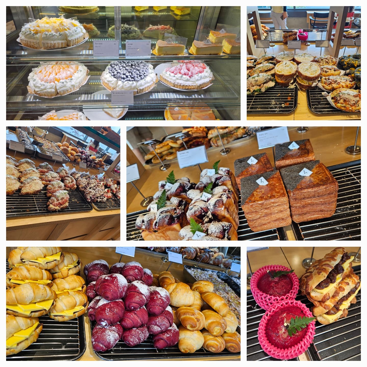 용인 기흥호수 뷰 좋은 카페 추천:호수 옆 힐링 스팟 &lsquo;호수앉기&rsquo; 카페 방문기