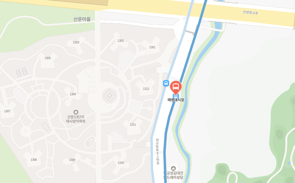 판교 공항버스