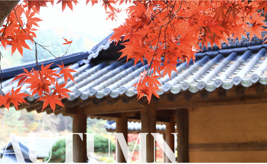 아침고요수목원의 사계절