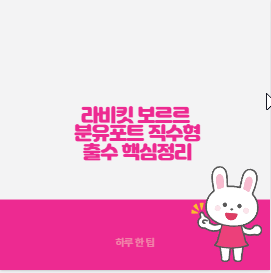 라비킷 보르르 분유포트 직수형 출수 핵심정리