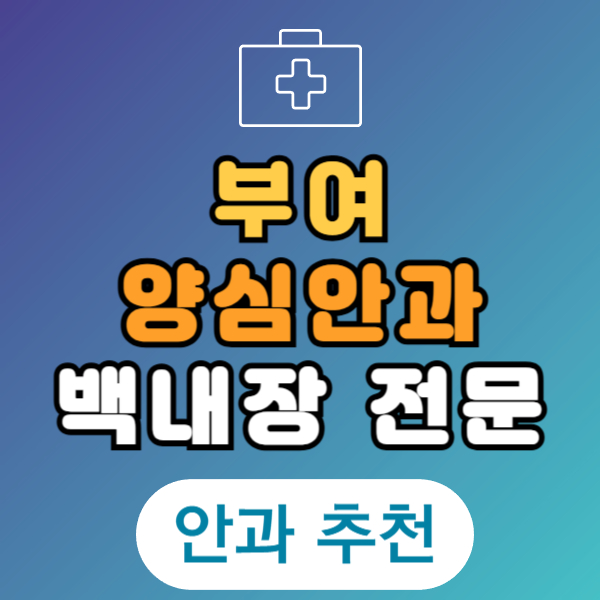 부여 백내장 전문 병원 List 수술 잘하는 안과 추천