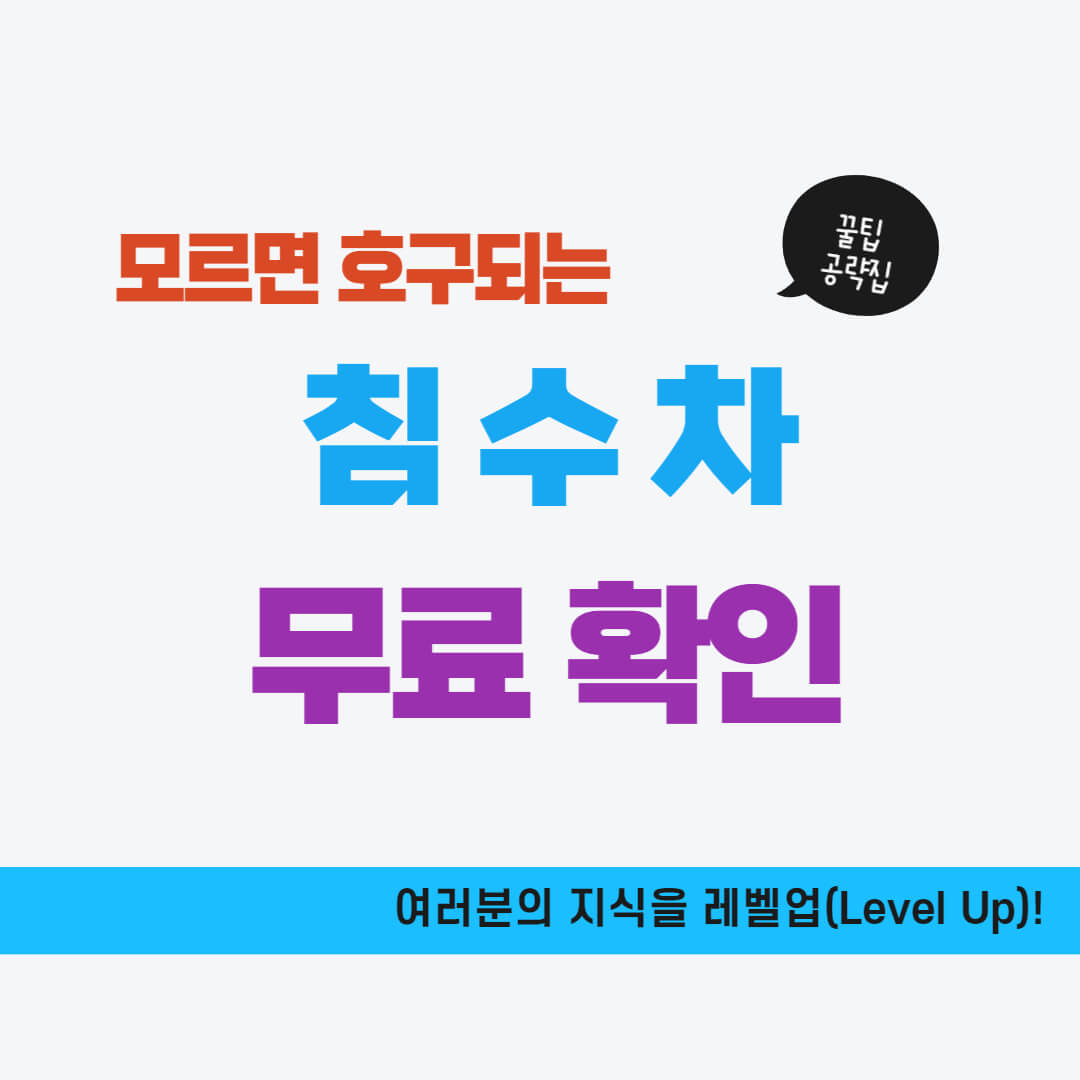 침수차 무료 확인 방법