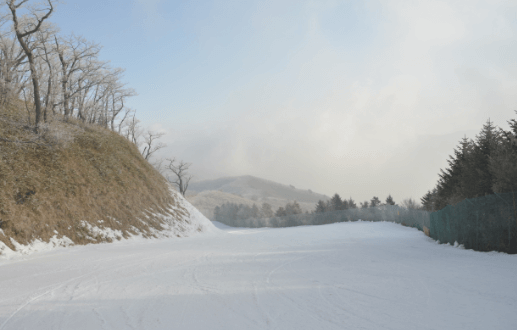스키장 개장일정