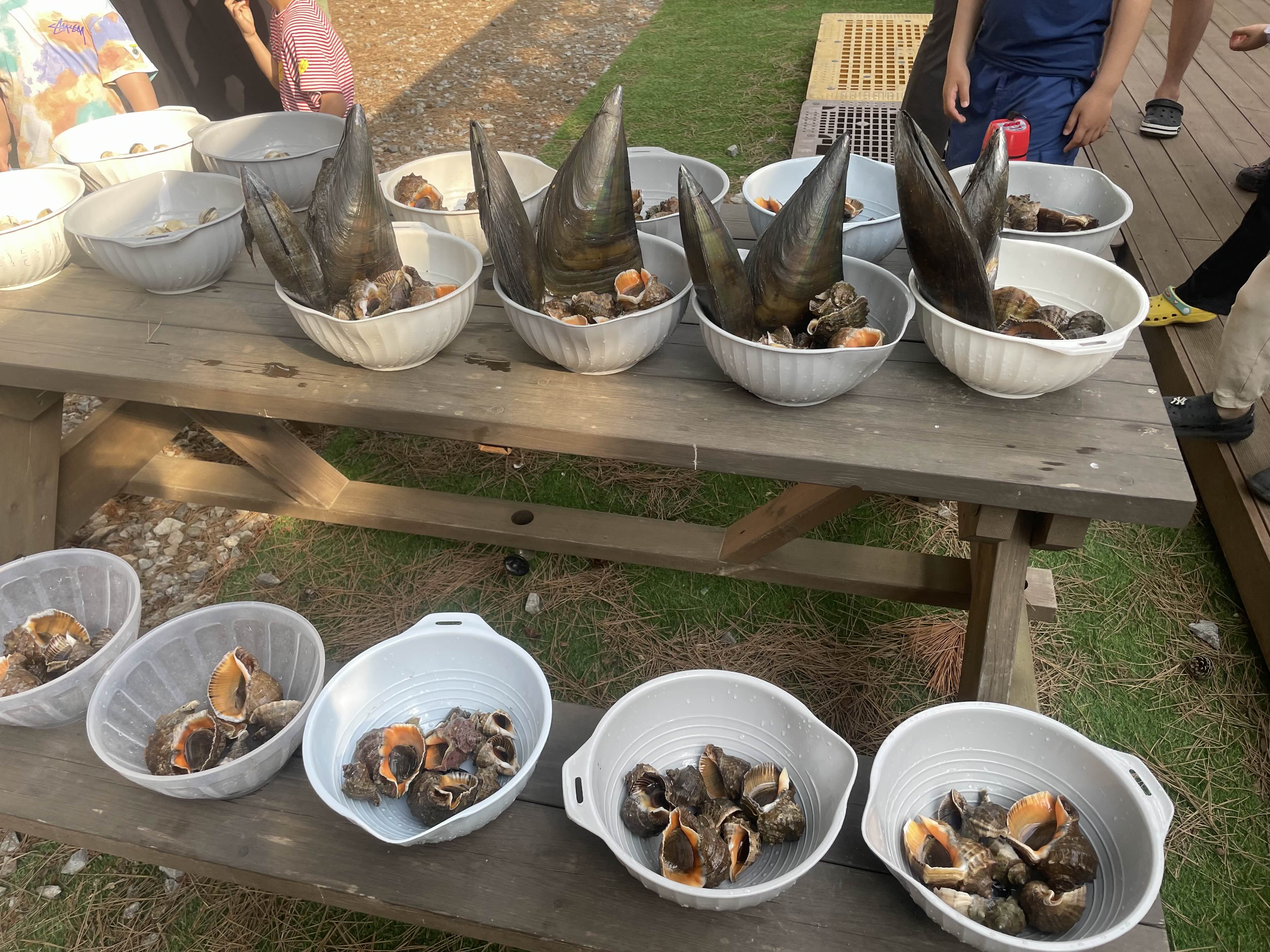 일등캠핑장 이벤트