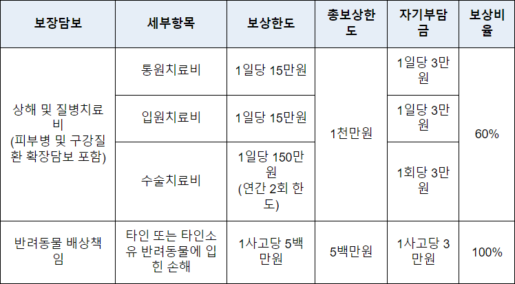 보험적용-항목-금액