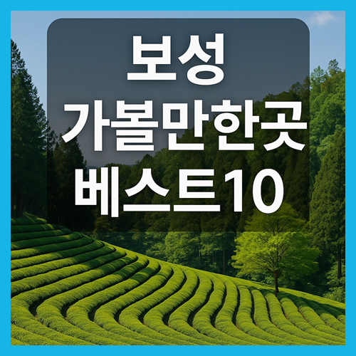 보성 가볼만한곳 베스트10
