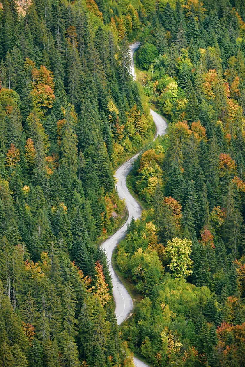 병자호란과 삼전도의 굴욕 : 조선의 외교 정책