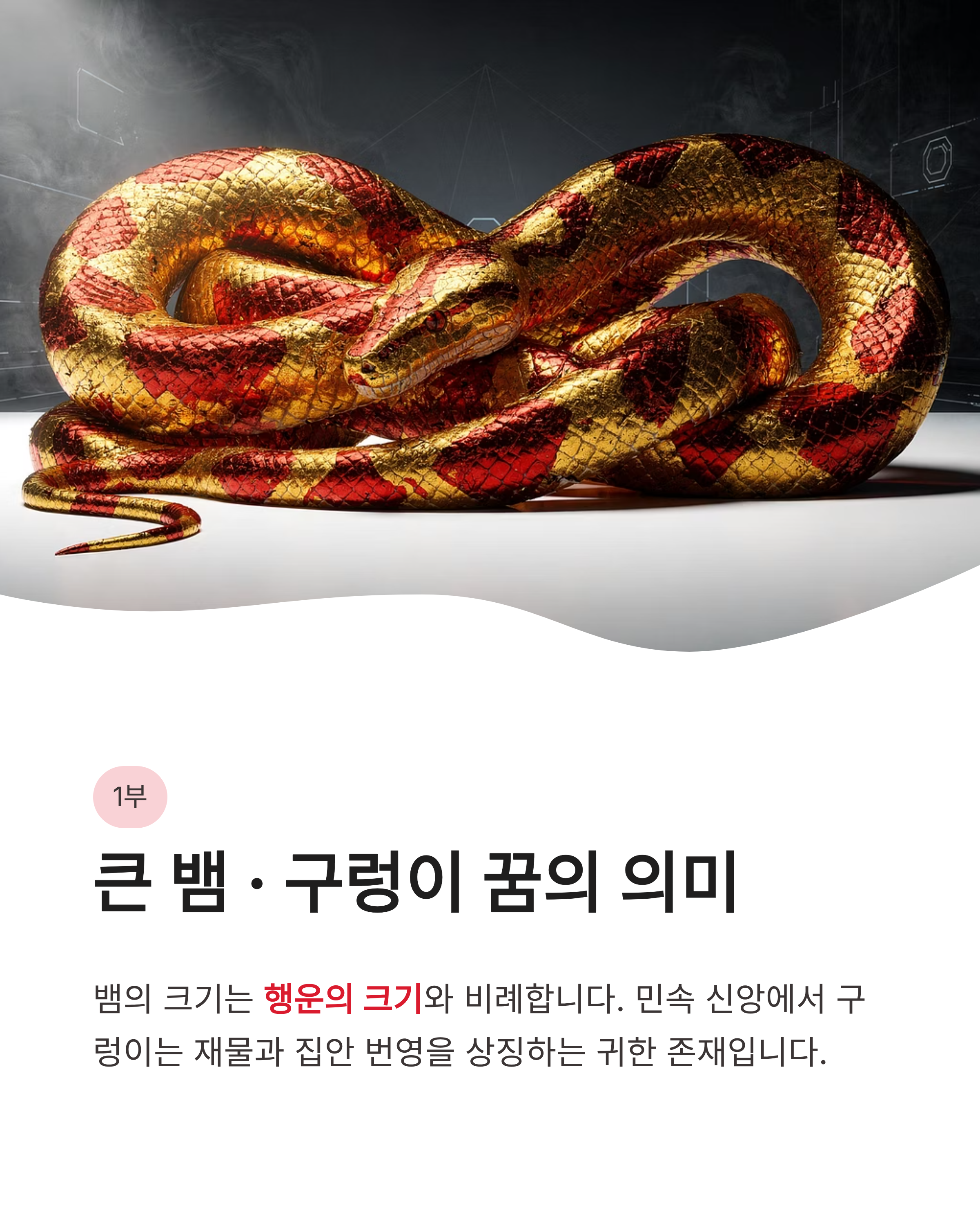 뱀꿈 해몽 큰 뱀 검은 뱀 물리는 꿈까지 상황별 완벽 정리! 오늘 밤 당신에게 찾아온 대박 기회?