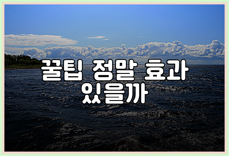 꿀팁 정말 효과 있을까